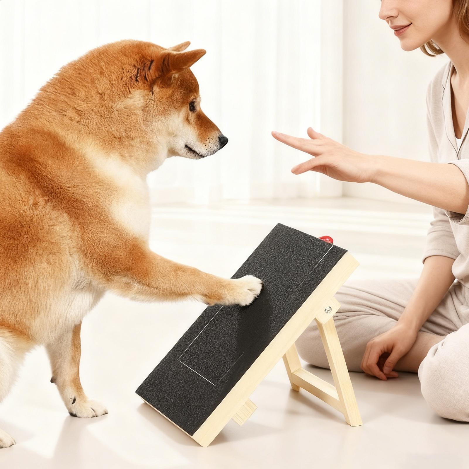 Ahşap Köpek Tırmalama Tahtası, - Woodworking Magazine incelemesi ve fiyatı
